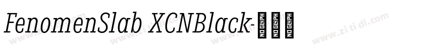 FenomenSlab XCNBlack字体转换